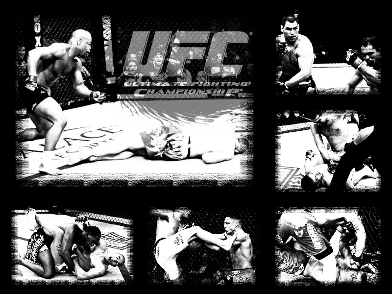 mma wallpaper. UFC desktop wallpapers